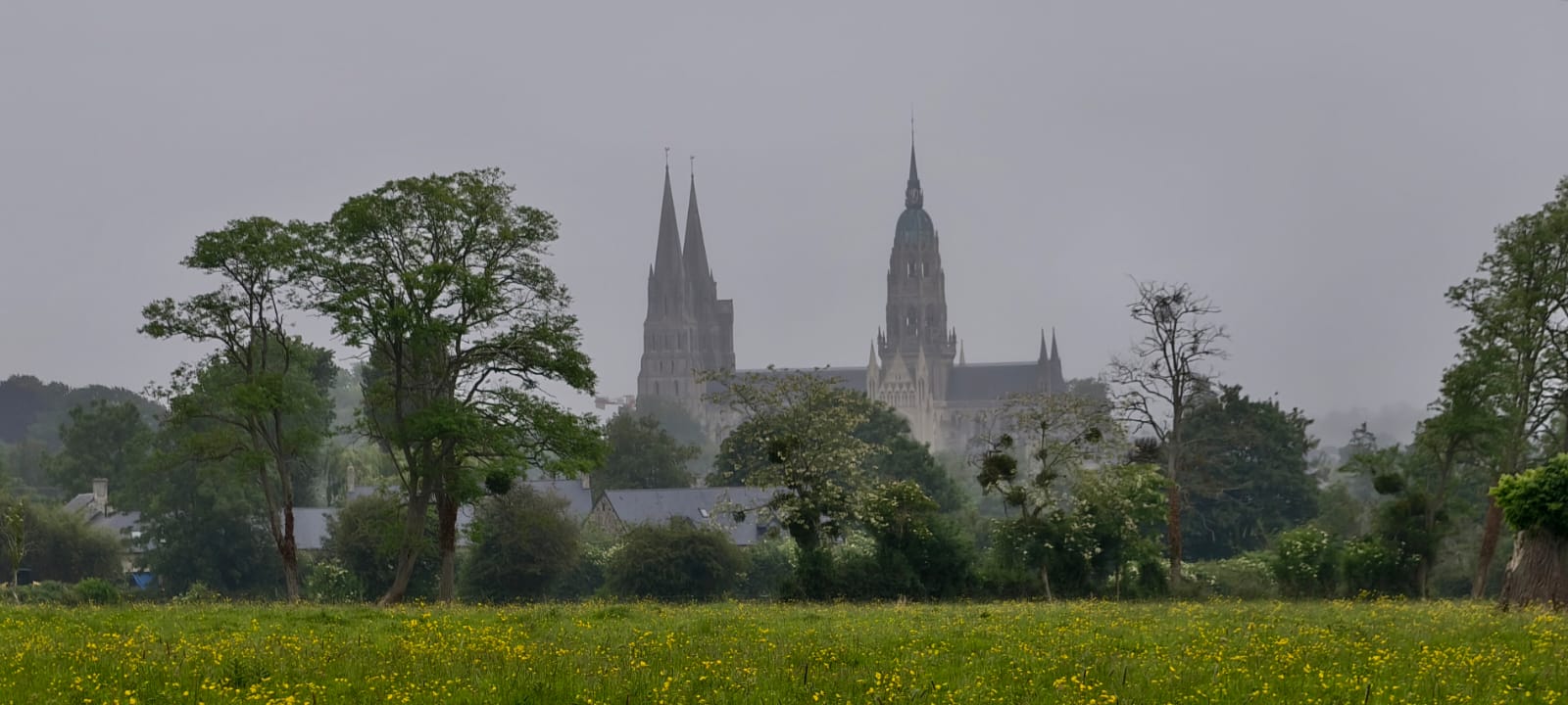 bayeux